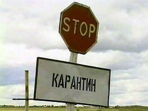Карантин