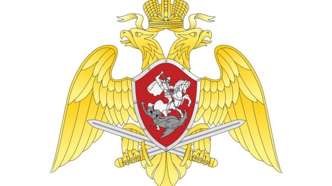emblema-vng-rf
