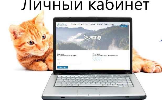 личный кабинет