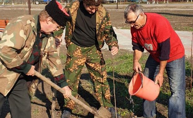 Казаки озеленение