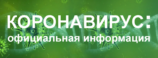 banner.jpg