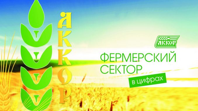 2019_02_akk_brsh_cifru_v2_08_site_pdf.io_pdf.io