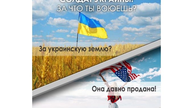 Image-1 (2)
