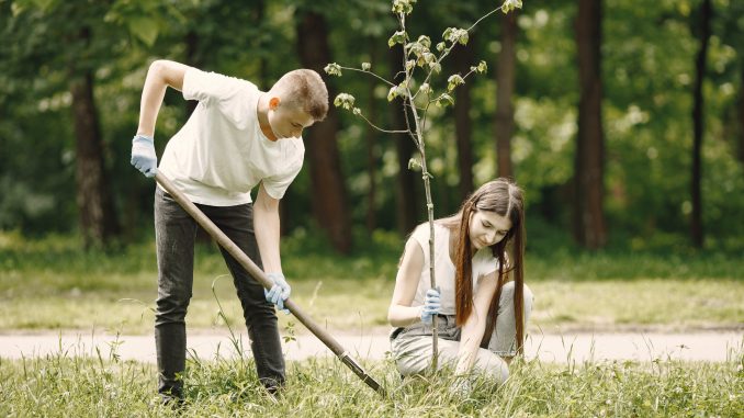 Young volunteers planting a tree together at park