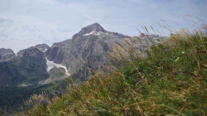 image-05-08-22-04-18