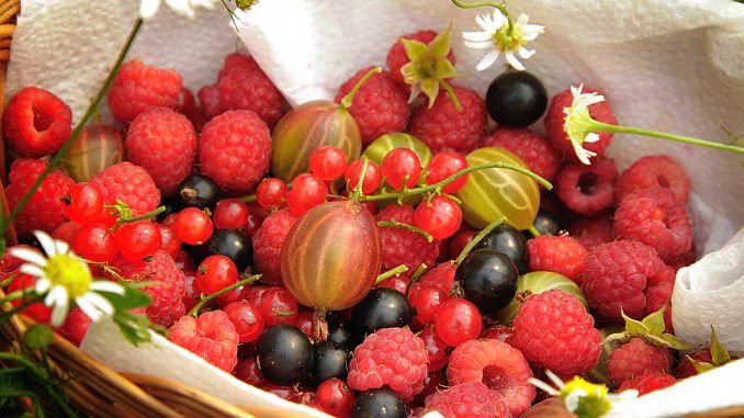 1651229537_1-vsegda-pomnim-com-p-letnie-frukti-foto-1