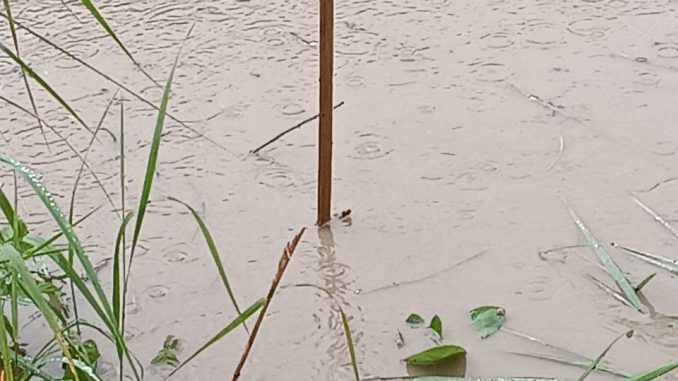 вода в Фарсе