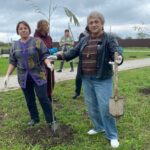 В Гиагинской ЦРБ высадили саженцы