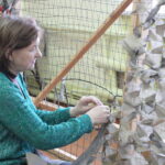 Волонтёров Гиагинского района наградили за помощь СВО