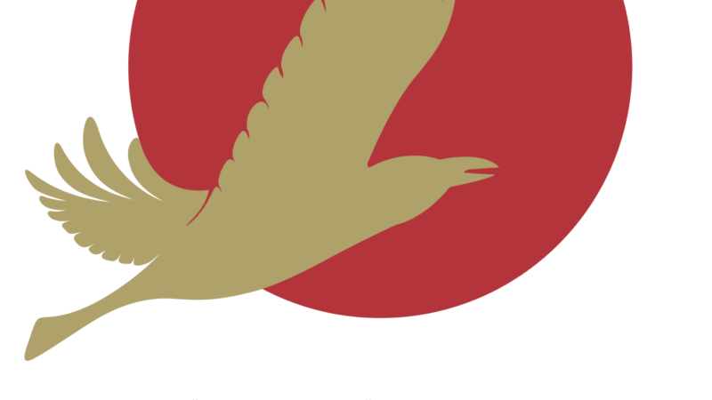 В муниципальных кинозалах Адыгеи пройдут показы в рамках киномарафона Арктического ме­ждународного кинофестиваля «Золотой ворон»