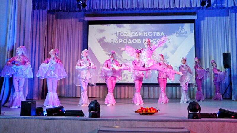 В Гиагинском районе состоялось открытие Года единства народов страны