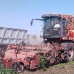 Гиагинские аграрии на треть увеличат посевы сахарной свёклы