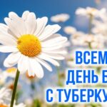 Главный санитарный врач Гиагинского района рассказала о ситуации с заболеваемостью туберкулёзом